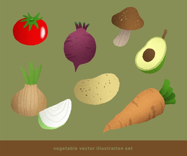 Vetor conjunto vetorial de lindas ilustrações de vegetais desenhadas à mão