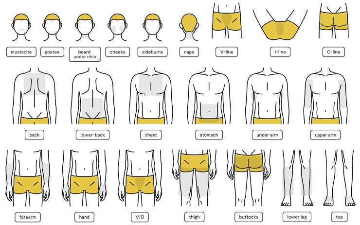 Vetor conjuntos de partes do corpo por localização para depilação de barba masculina e depilação de corpo inteiro vio