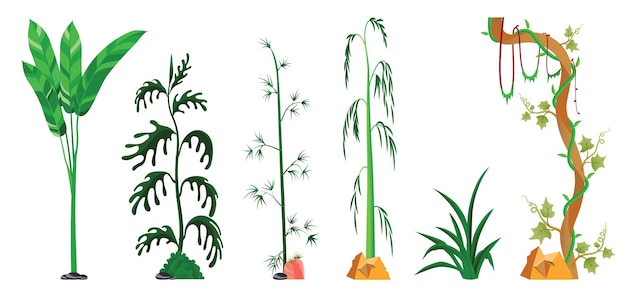 Conjuntos de plantas de videiras isolados no fundo branco ilustração vetorial