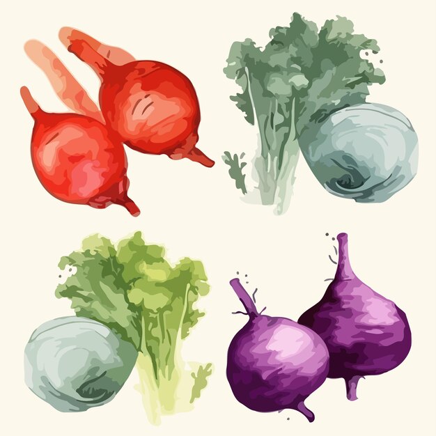 Conjuntos de vegetais Pacote de pintura em aquarela de vegetais