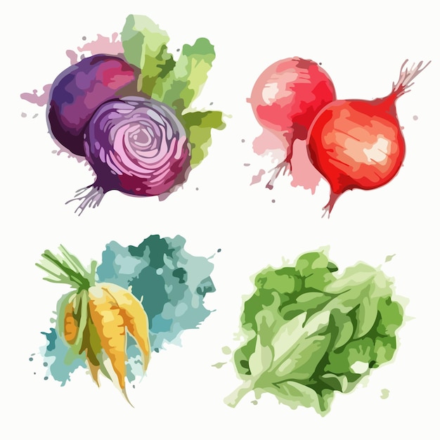 Conjuntos de vegetais Pacote de pintura em aquarela de vegetais