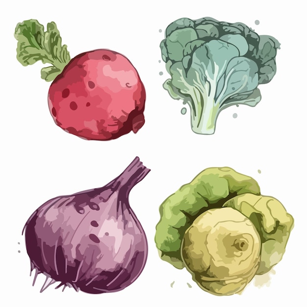 Conjuntos de vegetais Pacote de pintura em aquarela de vegetais
