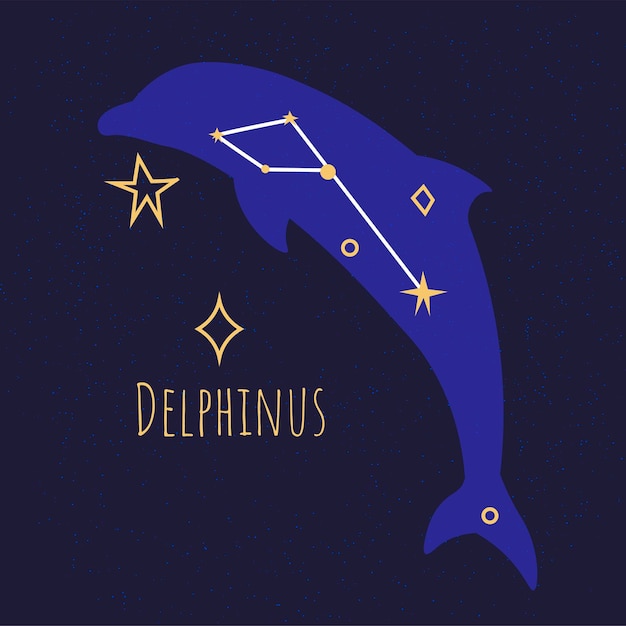 Vetor constelação de delphinus golfinho em forma de estrela