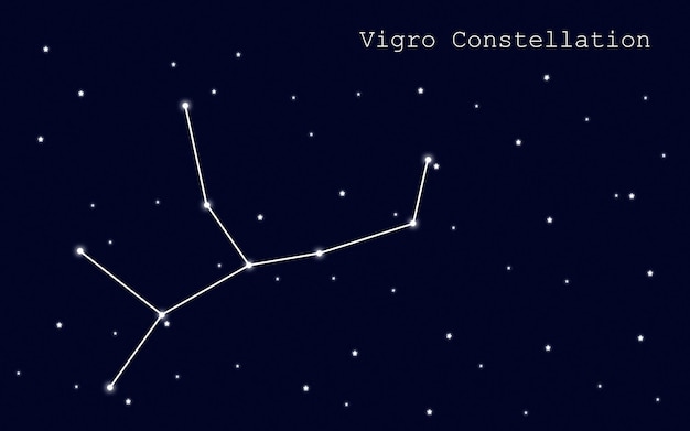 Vetor constelação de virgem no fundo do céu estrelado. modelo de infográfico. ilustração vetorial