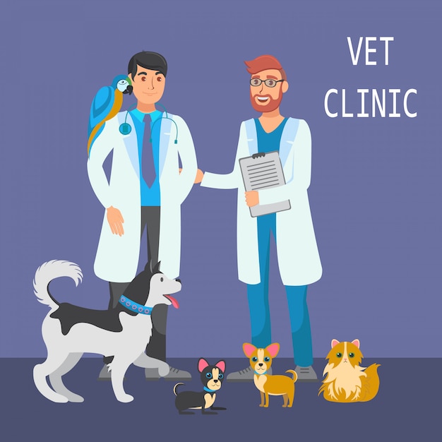 Vetor consulta veterinária flat color illustration