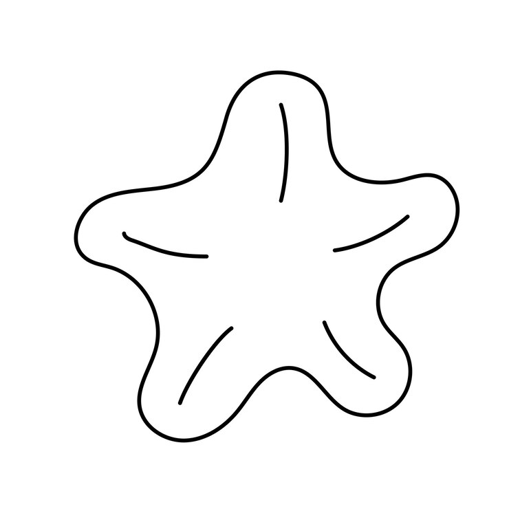Vetor contorno da estrela do mar ícone vetorial isolado conceito o dia mundial oceano mar molusco doodle estrela