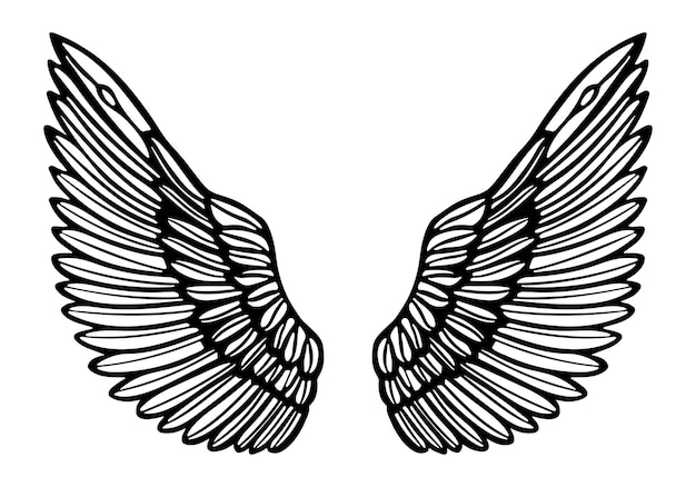 Contorno de asas de águia desenhado à mão em estilo de gravura vetor premium