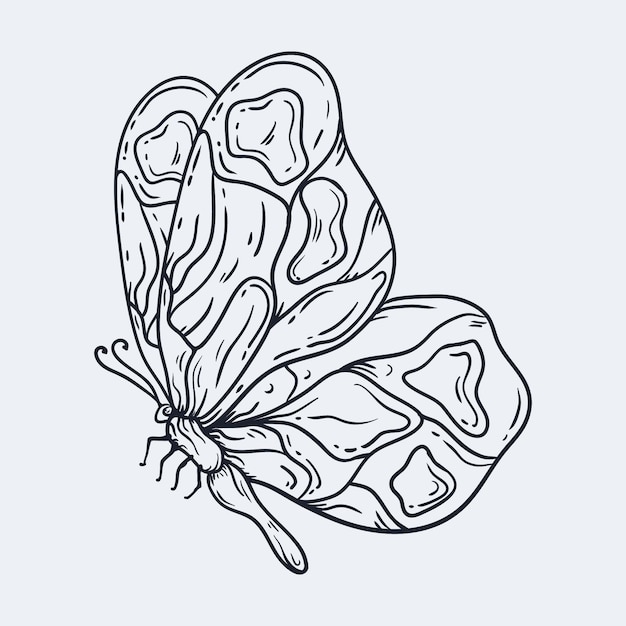contorno de borboleta desenhado à mão