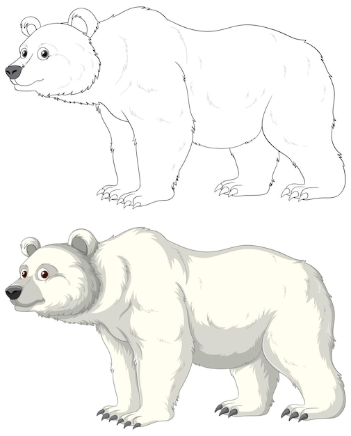 Contorno de desenho animado de urso polar