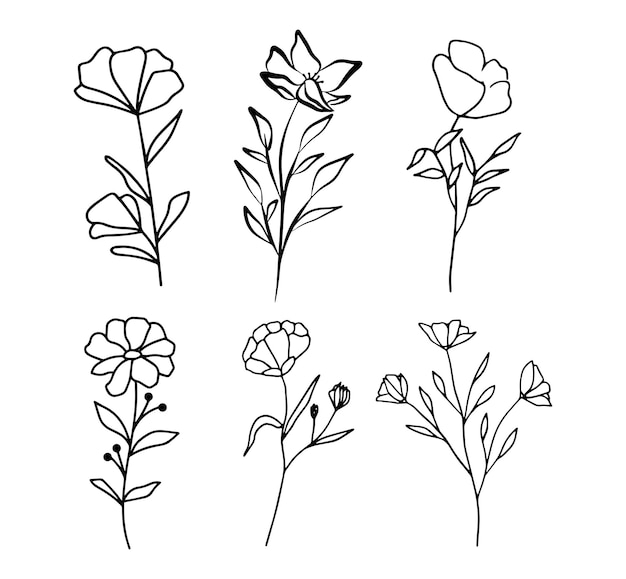 Contorno de flor simples desenhado à mão vetor livre desenhado à mão