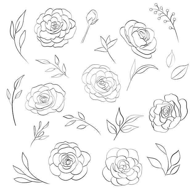 Contorno de flores desenhado à mão