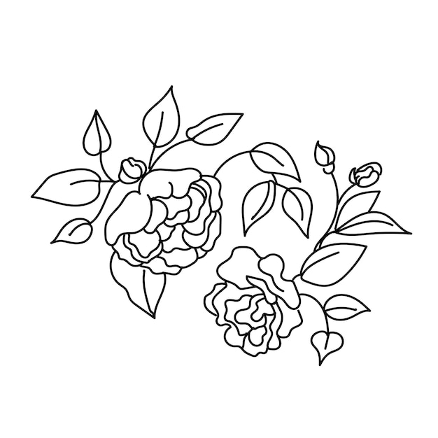 Contorno de linha de mão de rosa inglesa de planta de ilustração vetorial em um fundo branco