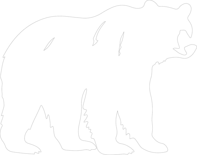 Vetor contorno de urso com fundo transparente