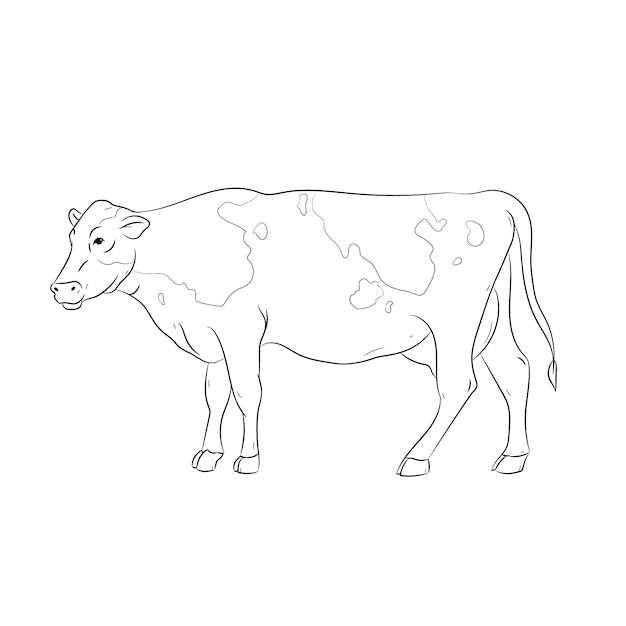 Contorno de vaca de design plano desenhado à mão