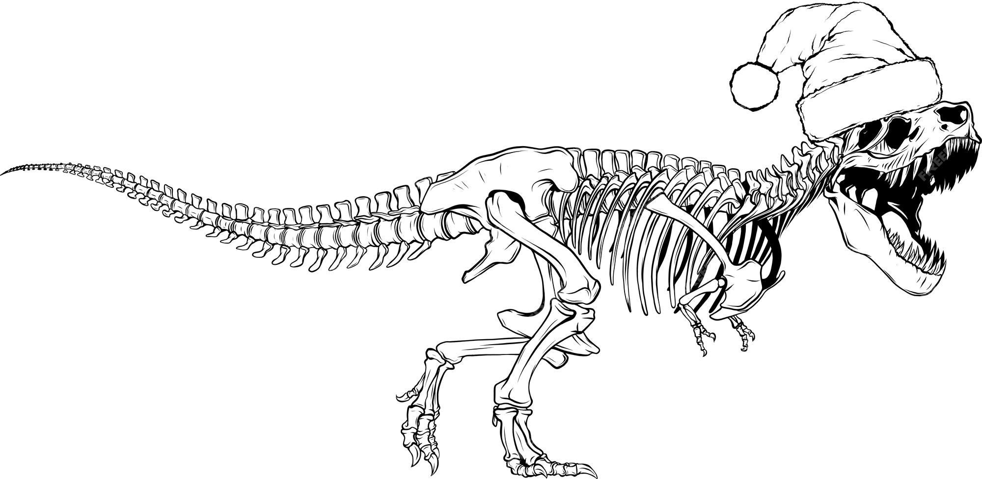 Como desenhar um esqueleto de dinossauro (T-Rex) - How to draw a