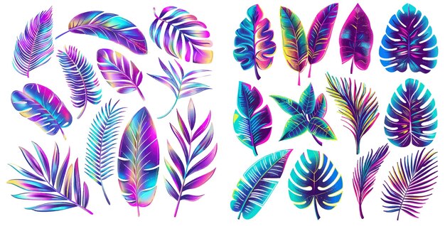 Cor árvore exótica e folha de planta folhas de palmeira coloridas conjunto de ilustrações desenhadas à mão