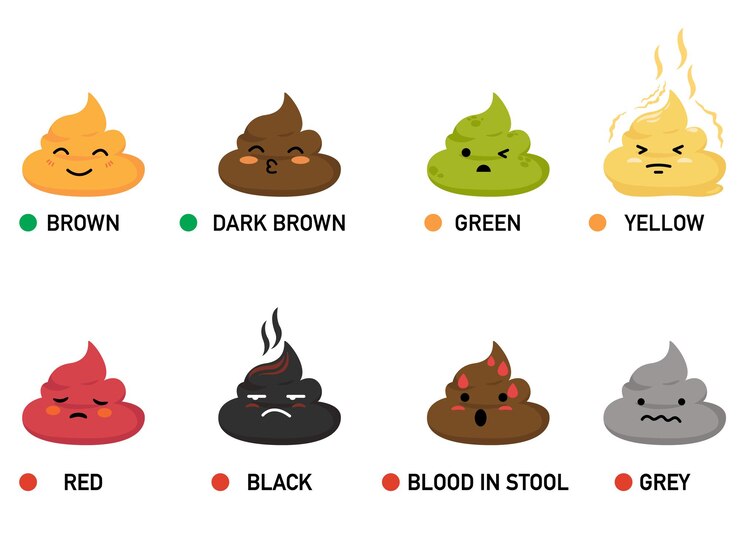 Vetor cor das fezes ilustração vetorial boa e má