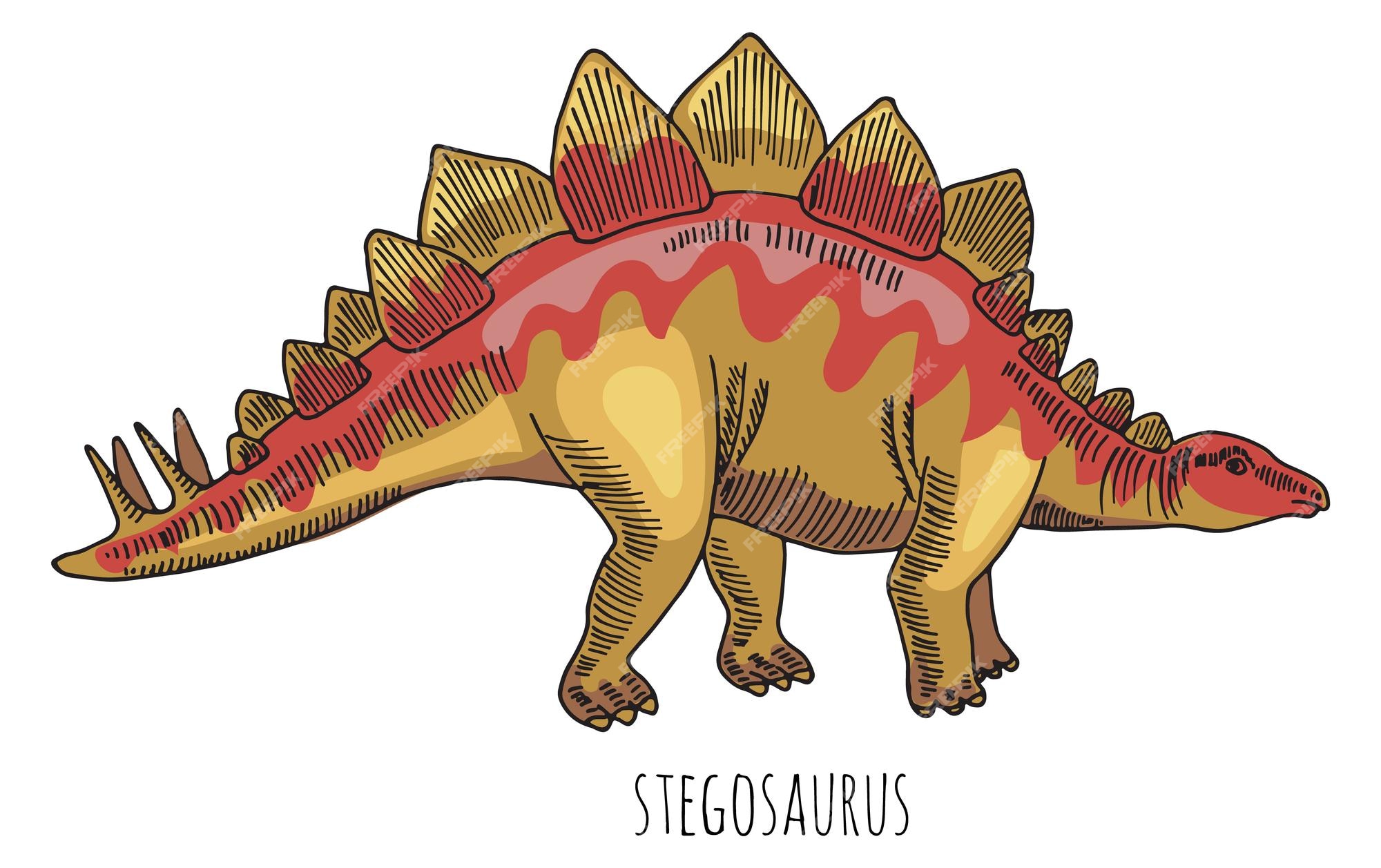 Cor de dinossauro estegossauro desenho herbívoro selvagem antigo isolado no  fundo branco