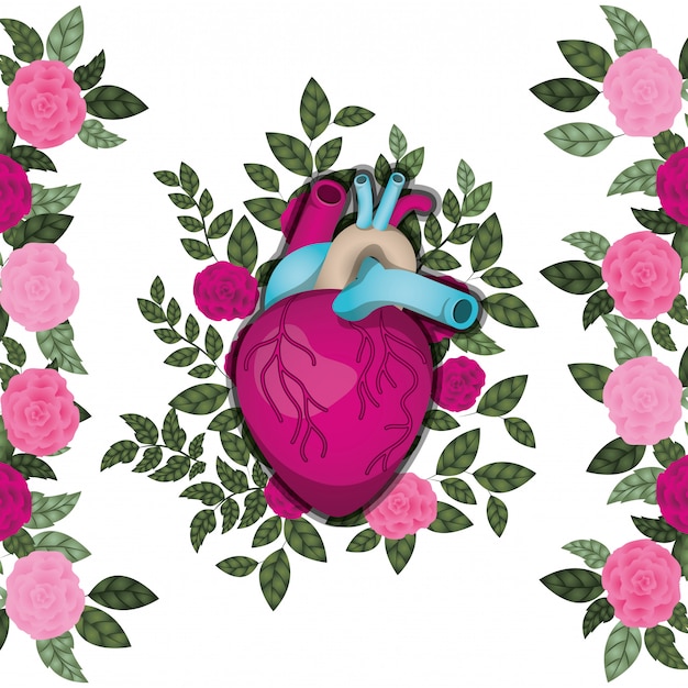 Coração com veias e rosas ícone isolado