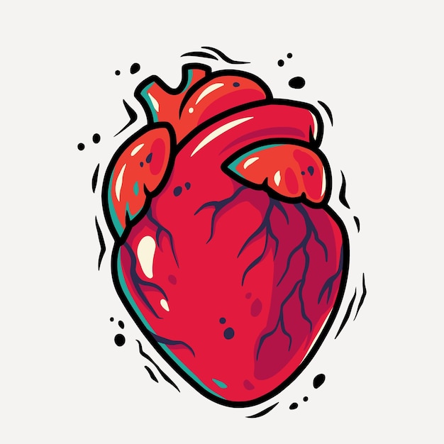 Coração humano para o dia dos namorados ou medicina