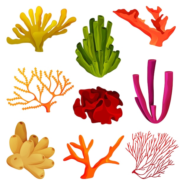 Corais ou elementos de recife de coral, vida selvagem subaquática. ícones de coral tropical para decoração de banner.