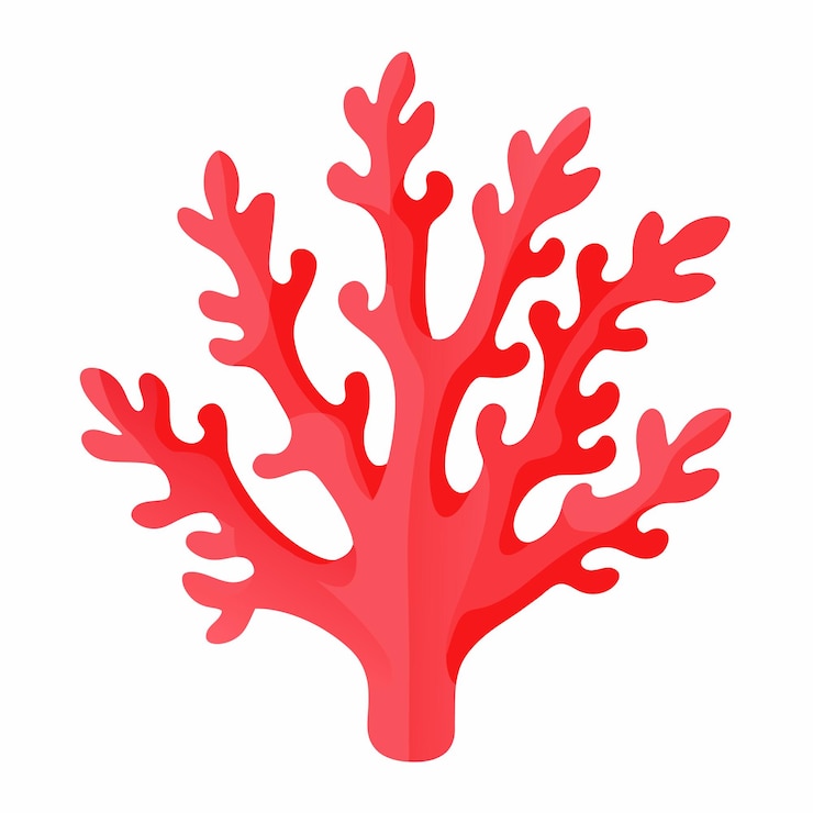 Vetor coral design clipart arte ilustração fundo branco sólido 30