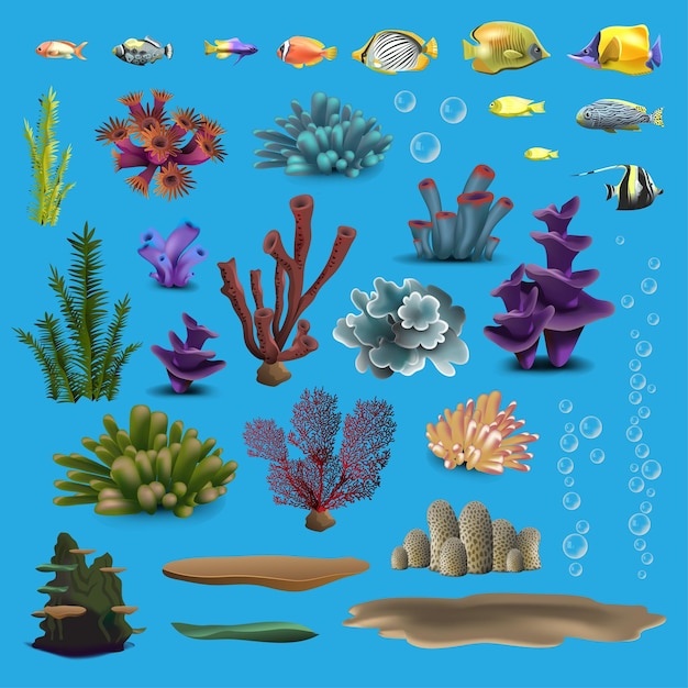 Vetor coral e peixes flora subaquática fauna água do mar algas marinhas aquário algas e corais oceano vector conjunto de cores ilustração vetorial