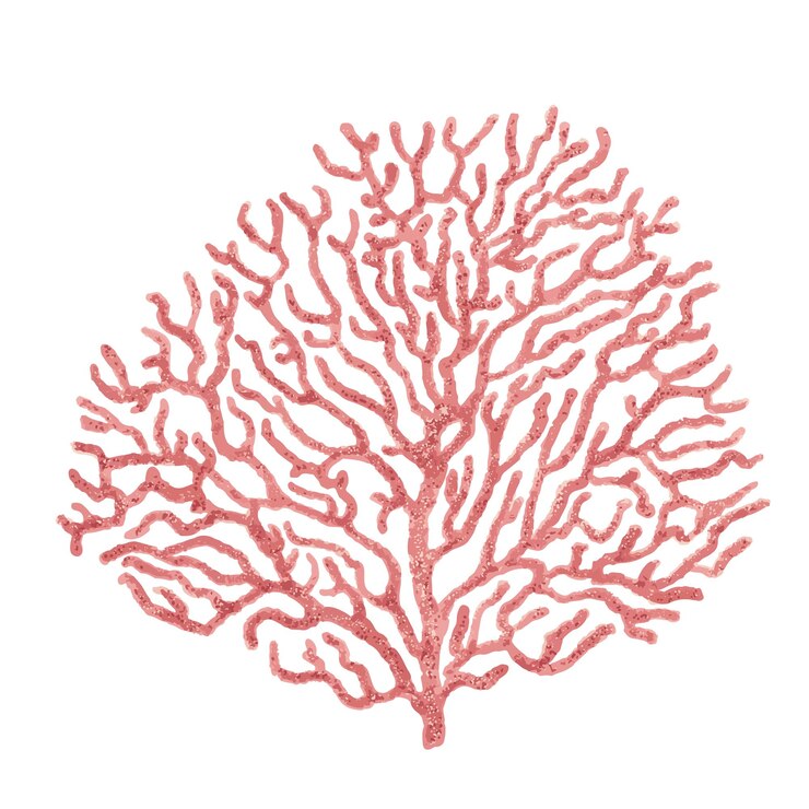Vetor coral isolado em um fundo branco. esboço desenhado à mão. ilustração vetorial