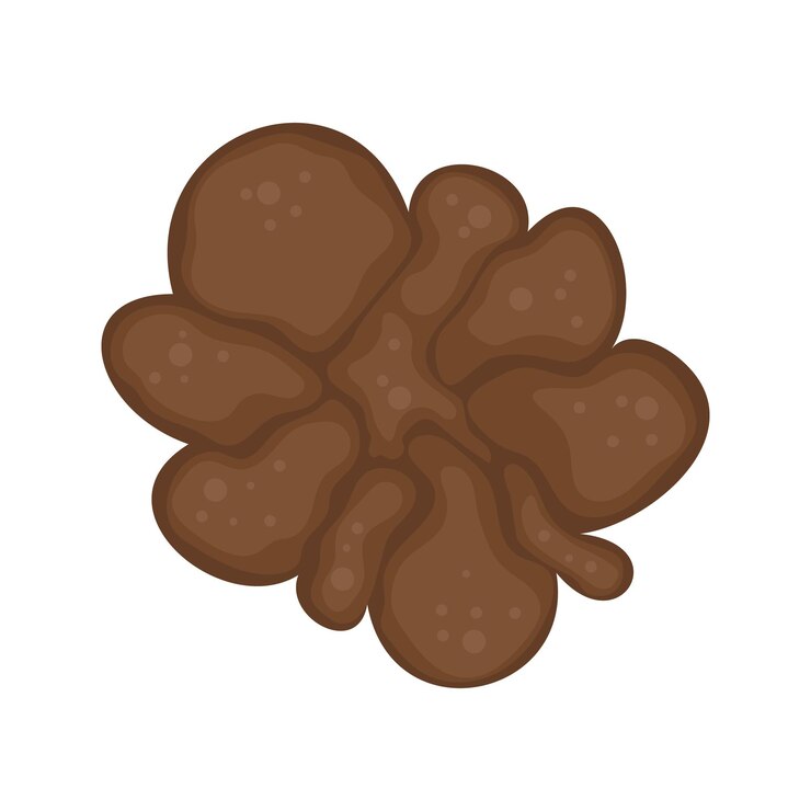 Vetor cores brilhantes e bonitas do ícone do cogumelo ilustração isolada em fundo branco alimentação outono e primavera natureza