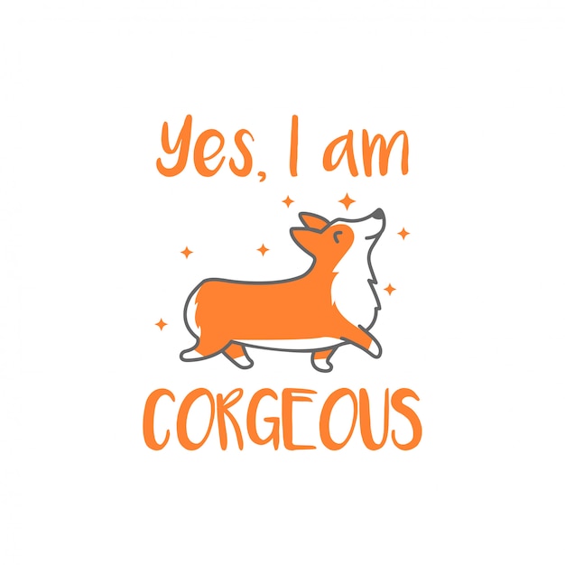 Corgeous, um lindo corgi