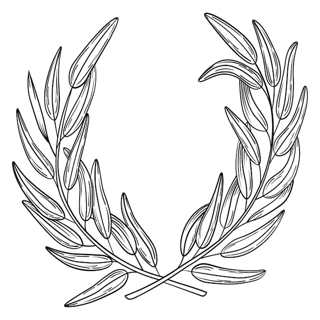 Vetor coroa de azeitona desenhada à mão, moldura