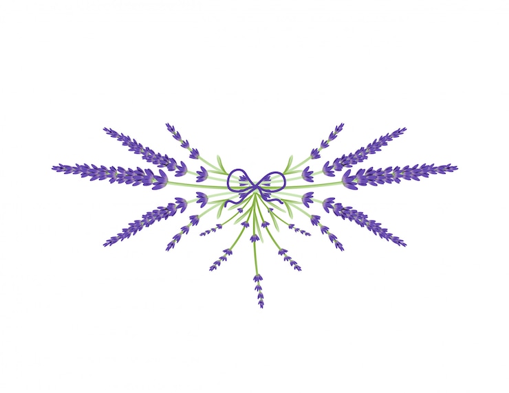 Vetor coroa de flores flores de lavanda