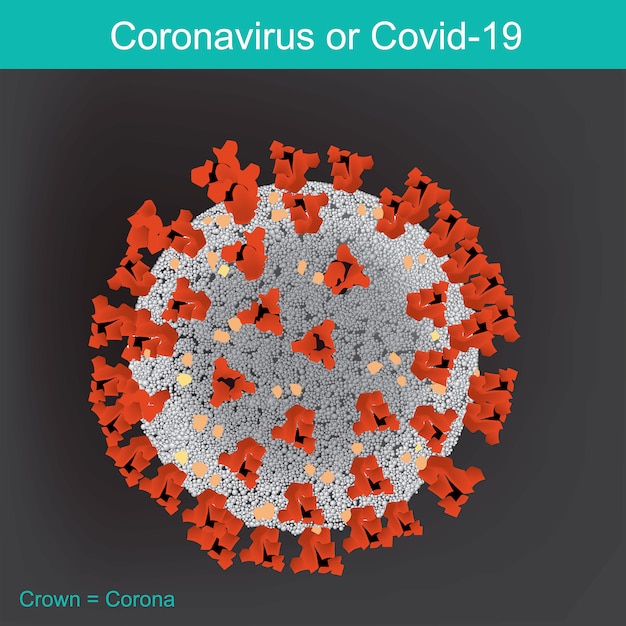 Vetor coronavírus ou covid-19. parte do vírus covid-19.