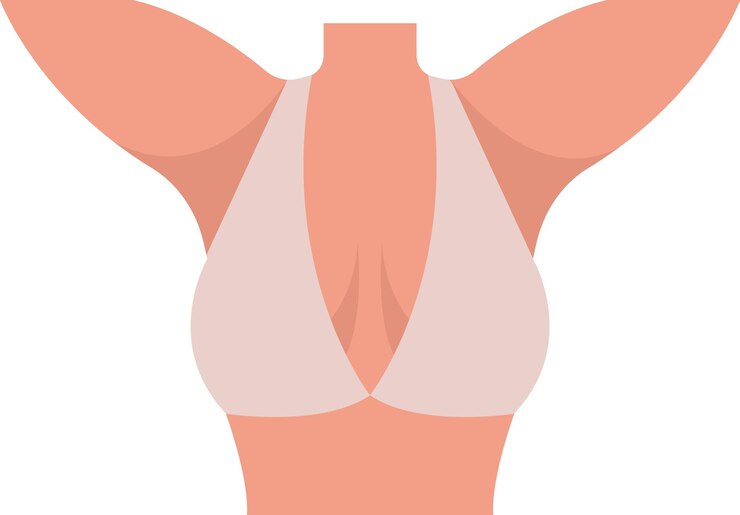 Vetor corpo superior feminino