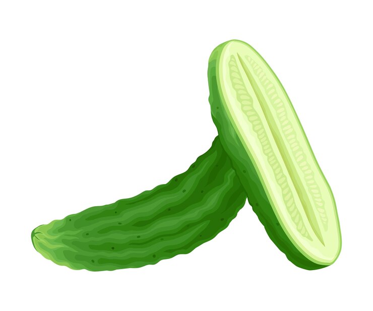 Vetor cortado verticalmente em duas partes pepino elemento vetor verde vegetais suculentos culturas de muitas sementes