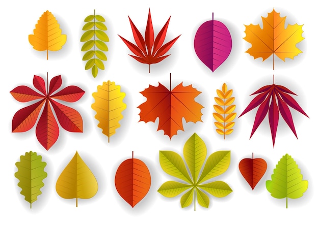 Corte de papel vetorial folhas de outono de cores bonitas