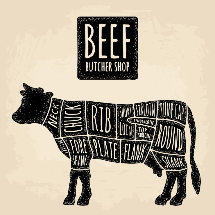 Vetor cortes de carne de vaca letras de caligrafia de carne de bovino gravura de vetor vintage ilustração preta isolada em fundo bege gráfico de diagrama de cartaz para açougue