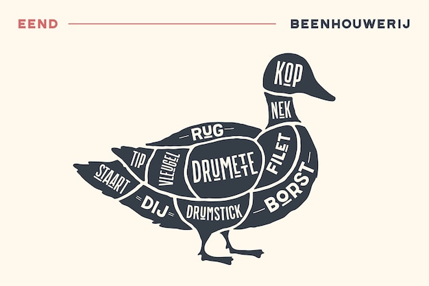 Cortes de carne. diagrama e esquema do açougueiro - pato. tipográfico vintage preto e branco desenhado à mão com texto em holandês.