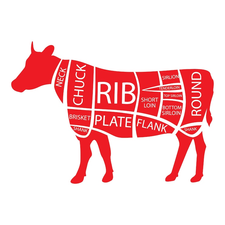Vetor cortes de carne poster diagrama de açougueiro vaca vintage tipográfico desenhado à mão