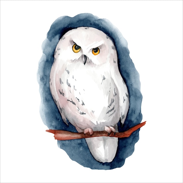 Vetor coruja de neve branca ilustração em aquarela