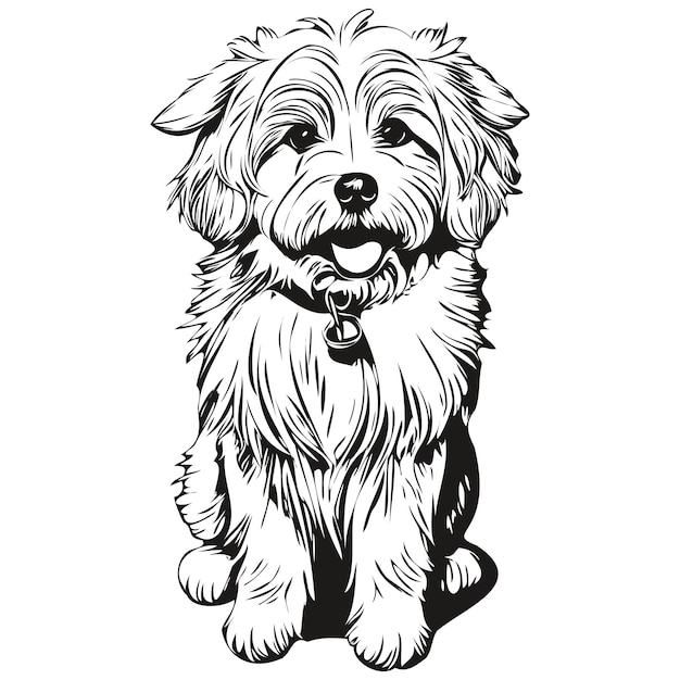 Coton de tulear cachorro silhueta animal de estimação clip art vetor animais de estimação desenho impressão de camiseta pronta em preto e branco