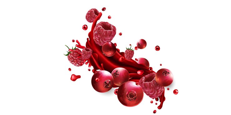 Vetor cranberries e framboesas e um pouco de suco de frutas vermelhas em um fundo branco.
