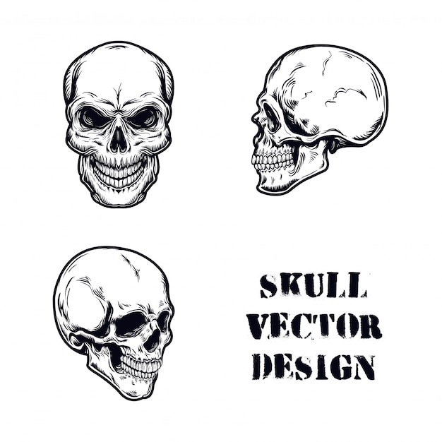 Vetor crânio definir ilustração vetorial