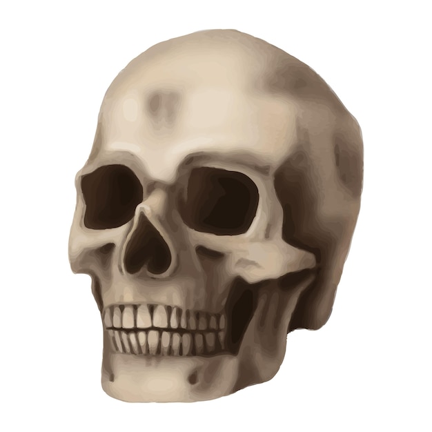 Crânio humano esqueleto realista em estilo de desenho animado desenhado à mão decoração escura de Halloween de cabeça morta assustadora