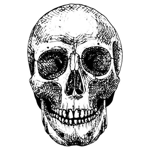 Crânio vetorial para tatuagem crânio humano desenhado à mão em estilo preto e branco Artes gráficas