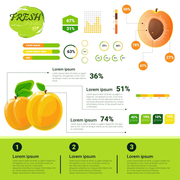 Vetor crescimento de frutas naturais de infográficos orgânicos frescos, agricultura e agricultura