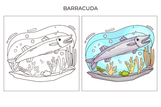 Criatura do mar bonitinha desenhada à mão para colorir Barracuda