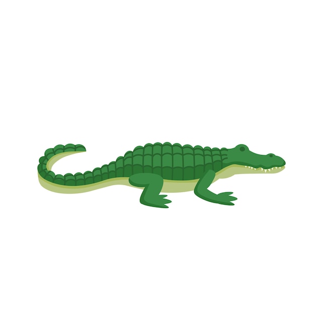 Crocodilo de desenho animado em um fundo branco Ilustração plana de desenho animado para crianças
