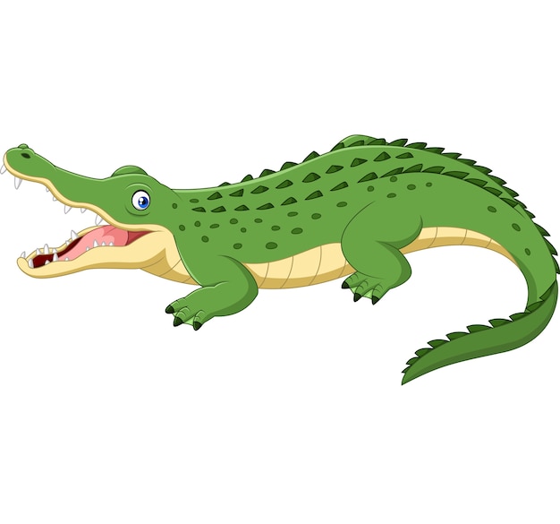 Crocodilo de desenhos animados isolado no fundo branco