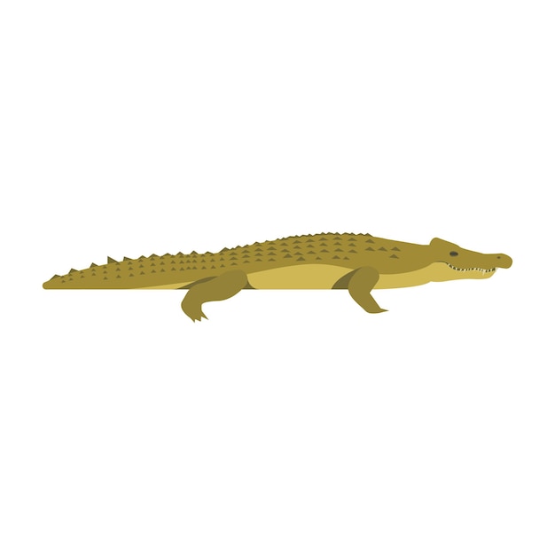 Crocodilo do Nilo. ilustração isolada